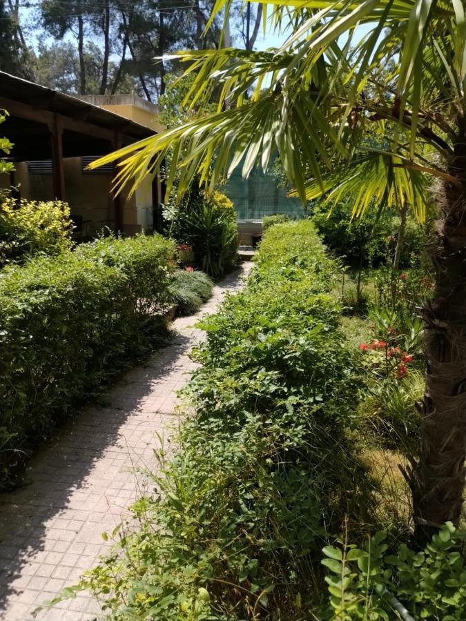 With Enchanting Garden Leilighet *