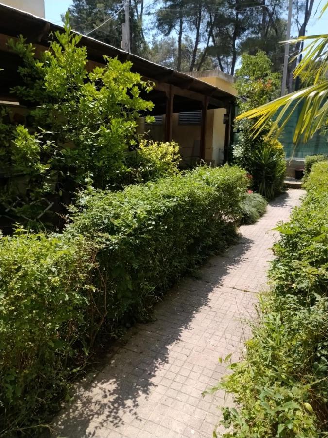 With Enchanting Garden
